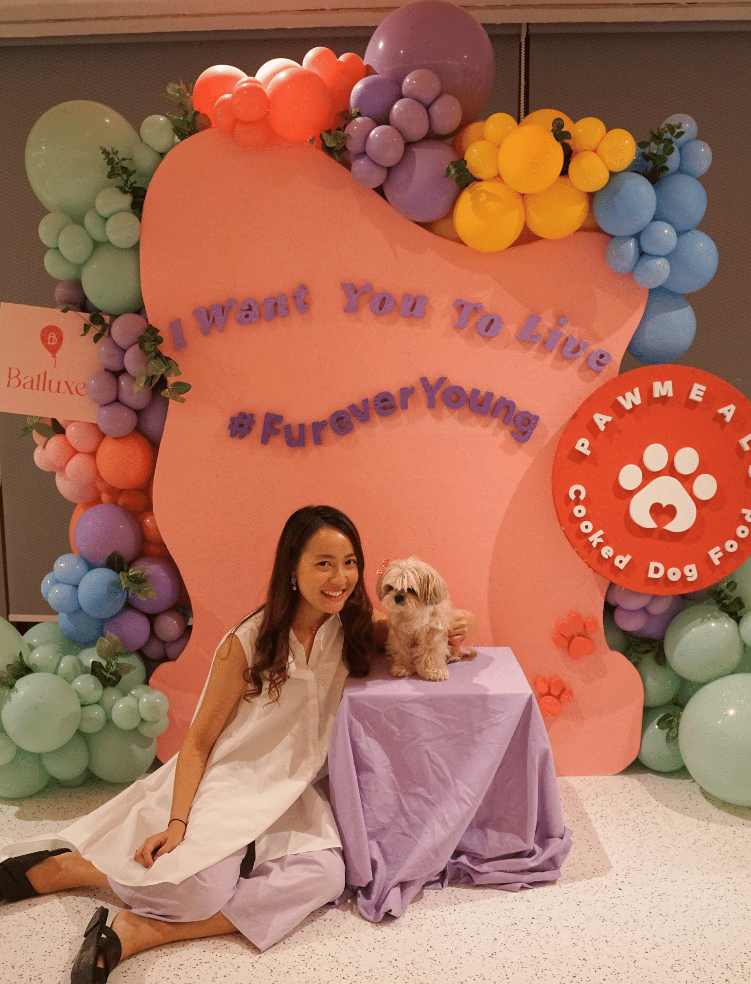 Organic Backdrop - Image 3